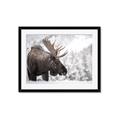 Picture of Elliot, the moose _GroupedProduct_Rectangle_Landscape_Photography _GroupedProduct_Rectangle_Landscape_Framed_Matted_