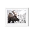Picture of Elliot, the moose _GroupedProduct_Rectangle_Landscape_Photography _GroupedProduct_Rectangle_Landscape_Framed_Matted_