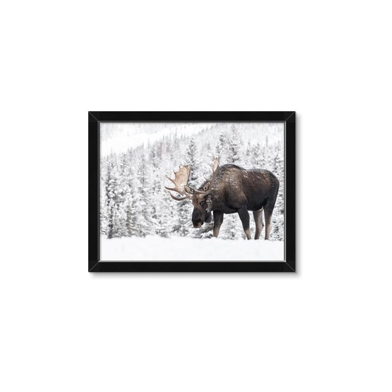 Picture of Winter Moose _GroupedProduct_Rectangle_Landscape_Photography _GroupedProduct_Rectangle_Landscape_Framed_Matted_
