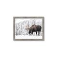 Picture of Winter Moose _GroupedProduct_Rectangle_Landscape_Photography _GroupedProduct_Rectangle_Landscape_Framed_Matted_