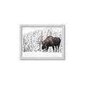Picture of Winter Moose _GroupedProduct_Rectangle_Landscape_Photography _GroupedProduct_Rectangle_Landscape_Framed_Matted_