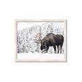Picture of Winter Moose _GroupedProduct_Rectangle_Landscape_Photography _GroupedProduct_Rectangle_Landscape_Framed_Matted_