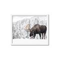 Picture of Winter Moose _GroupedProduct_Rectangle_Landscape_Photography _GroupedProduct_Rectangle_Landscape_Framed_Matted_