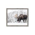 Picture of Winter Moose _GroupedProduct_Rectangle_Landscape_Photography _GroupedProduct_Rectangle_Landscape_Framed_Matted_