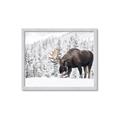 Picture of Winter Moose _GroupedProduct_Rectangle_Landscape_Photography _GroupedProduct_Rectangle_Landscape_Framed_Matted_