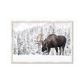 Picture of Winter Moose _GroupedProduct_Rectangle_Landscape_Photography _GroupedProduct_Rectangle_Landscape_Framed_Matted_