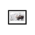 Picture of Winter Moose _GroupedProduct_Rectangle_Landscape_Photography _GroupedProduct_Rectangle_Landscape_Framed_Matted_