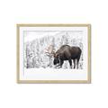 Picture of Winter Moose _GroupedProduct_Rectangle_Landscape_Photography _GroupedProduct_Rectangle_Landscape_Framed_Matted_