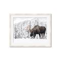 Picture of Winter Moose _GroupedProduct_Rectangle_Landscape_Photography _GroupedProduct_Rectangle_Landscape_Framed_Matted_