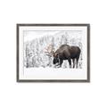Picture of Winter Moose _GroupedProduct_Rectangle_Landscape_Photography _GroupedProduct_Rectangle_Landscape_Framed_Matted_