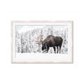 Picture of Winter Moose _GroupedProduct_Rectangle_Landscape_Photography _GroupedProduct_Rectangle_Landscape_Framed_Matted_