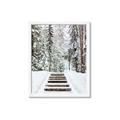 Picture of Winter's Kiss _GroupedProduct_Rectangle_Portrait_Photography _GroupedProduct_Rectangle_Portrait_Framed_Matted_
