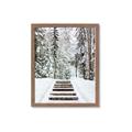 Picture of Winter's Kiss _GroupedProduct_Rectangle_Portrait_Photography _GroupedProduct_Rectangle_Portrait_Framed_Matted_