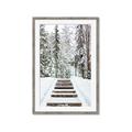 Picture of Winter's Kiss _GroupedProduct_Rectangle_Portrait_Photography _GroupedProduct_Rectangle_Portrait_Framed_Matted_