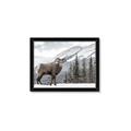 Picture of Staring Back _GroupedProduct_Rectangle_Landscape_Photography _GroupedProduct_Rectangle_Landscape_Framed_Matted_