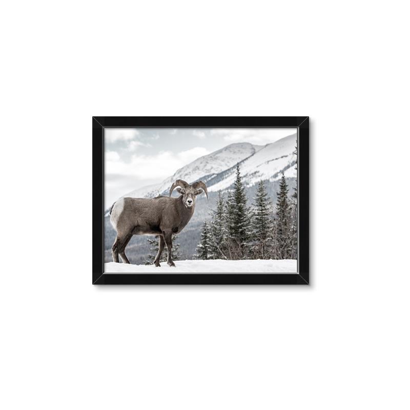Picture of Staring Back _GroupedProduct_Rectangle_Landscape_Photography _GroupedProduct_Rectangle_Landscape_Framed_Matted_