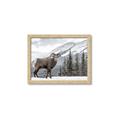 Picture of Staring Back _GroupedProduct_Rectangle_Landscape_Photography _GroupedProduct_Rectangle_Landscape_Framed_Matted_