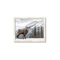 Picture of Staring Back _GroupedProduct_Rectangle_Landscape_Photography _GroupedProduct_Rectangle_Landscape_Framed_Matted_
