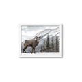 Picture of Staring Back _GroupedProduct_Rectangle_Landscape_Photography _GroupedProduct_Rectangle_Landscape_Framed_Matted_