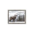 Picture of Staring Back _GroupedProduct_Rectangle_Landscape_Photography _GroupedProduct_Rectangle_Landscape_Framed_Matted_
