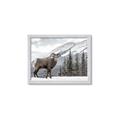 Picture of Staring Back _GroupedProduct_Rectangle_Landscape_Photography _GroupedProduct_Rectangle_Landscape_Framed_Matted_