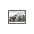 Picture of Staring Back _GroupedProduct_Rectangle_Landscape_Photography _GroupedProduct_Rectangle_Landscape_Framed_Matted_
