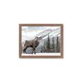 Picture of Staring Back _GroupedProduct_Rectangle_Landscape_Photography _GroupedProduct_Rectangle_Landscape_Framed_Matted_