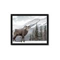 Picture of Staring Back _GroupedProduct_Rectangle_Landscape_Photography _GroupedProduct_Rectangle_Landscape_Framed_Matted_