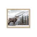 Picture of Staring Back _GroupedProduct_Rectangle_Landscape_Photography _GroupedProduct_Rectangle_Landscape_Framed_Matted_