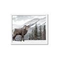 Picture of Staring Back _GroupedProduct_Rectangle_Landscape_Photography _GroupedProduct_Rectangle_Landscape_Framed_Matted_