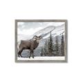 Picture of Staring Back _GroupedProduct_Rectangle_Landscape_Photography _GroupedProduct_Rectangle_Landscape_Framed_Matted_