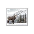 Picture of Staring Back _GroupedProduct_Rectangle_Landscape_Photography _GroupedProduct_Rectangle_Landscape_Framed_Matted_