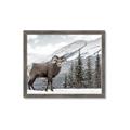 Picture of Staring Back _GroupedProduct_Rectangle_Landscape_Photography _GroupedProduct_Rectangle_Landscape_Framed_Matted_