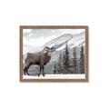 Picture of Staring Back _GroupedProduct_Rectangle_Landscape_Photography _GroupedProduct_Rectangle_Landscape_Framed_Matted_