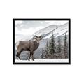 Picture of Staring Back _GroupedProduct_Rectangle_Landscape_Photography _GroupedProduct_Rectangle_Landscape_Framed_Matted_