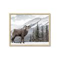 Picture of Staring Back _GroupedProduct_Rectangle_Landscape_Photography _GroupedProduct_Rectangle_Landscape_Framed_Matted_