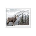 Picture of Staring Back _GroupedProduct_Rectangle_Landscape_Photography _GroupedProduct_Rectangle_Landscape_Framed_Matted_
