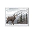 Picture of Staring Back _GroupedProduct_Rectangle_Landscape_Photography _GroupedProduct_Rectangle_Landscape_Framed_Matted_