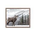 Picture of Staring Back _GroupedProduct_Rectangle_Landscape_Photography _GroupedProduct_Rectangle_Landscape_Framed_Matted_