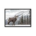 Picture of Staring Back _GroupedProduct_Rectangle_Landscape_Photography _GroupedProduct_Rectangle_Landscape_Framed_Matted_