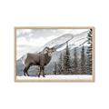 Picture of Staring Back _GroupedProduct_Rectangle_Landscape_Photography _GroupedProduct_Rectangle_Landscape_Framed_Matted_