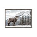 Picture of Staring Back _GroupedProduct_Rectangle_Landscape_Photography _GroupedProduct_Rectangle_Landscape_Framed_Matted_
