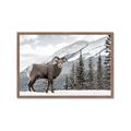 Picture of Staring Back _GroupedProduct_Rectangle_Landscape_Photography _GroupedProduct_Rectangle_Landscape_Framed_Matted_