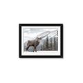 Picture of Staring Back _GroupedProduct_Rectangle_Landscape_Photography _GroupedProduct_Rectangle_Landscape_Framed_Matted_