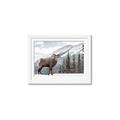 Picture of Staring Back _GroupedProduct_Rectangle_Landscape_Photography _GroupedProduct_Rectangle_Landscape_Framed_Matted_