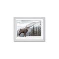 Picture of Staring Back _GroupedProduct_Rectangle_Landscape_Photography _GroupedProduct_Rectangle_Landscape_Framed_Matted_