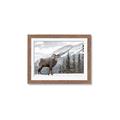 Picture of Staring Back _GroupedProduct_Rectangle_Landscape_Photography _GroupedProduct_Rectangle_Landscape_Framed_Matted_