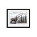 Picture of Staring Back _GroupedProduct_Rectangle_Landscape_Photography _GroupedProduct_Rectangle_Landscape_Framed_Matted_