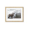 Picture of Staring Back _GroupedProduct_Rectangle_Landscape_Photography _GroupedProduct_Rectangle_Landscape_Framed_Matted_