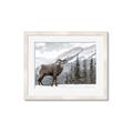 Picture of Staring Back _GroupedProduct_Rectangle_Landscape_Photography _GroupedProduct_Rectangle_Landscape_Framed_Matted_